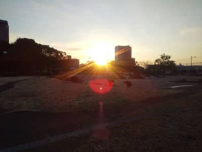 【ブログ】今年1年の目標